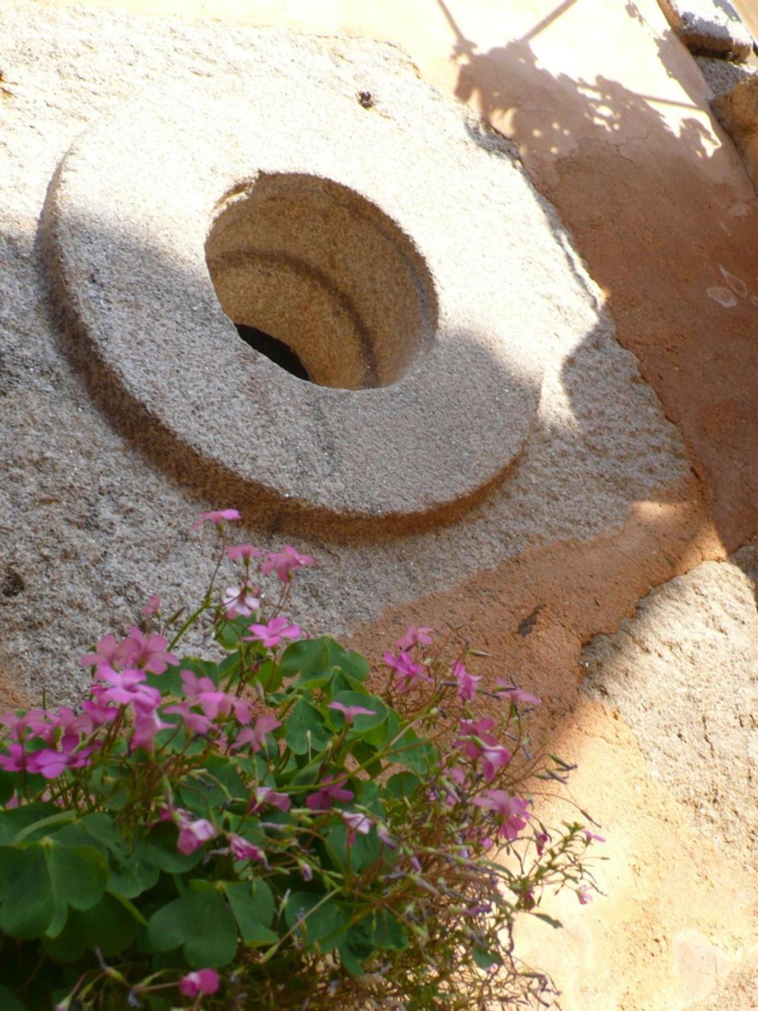 Casa Da Ti Cura Konuk evi Atenor Dış mekan fotoğraf