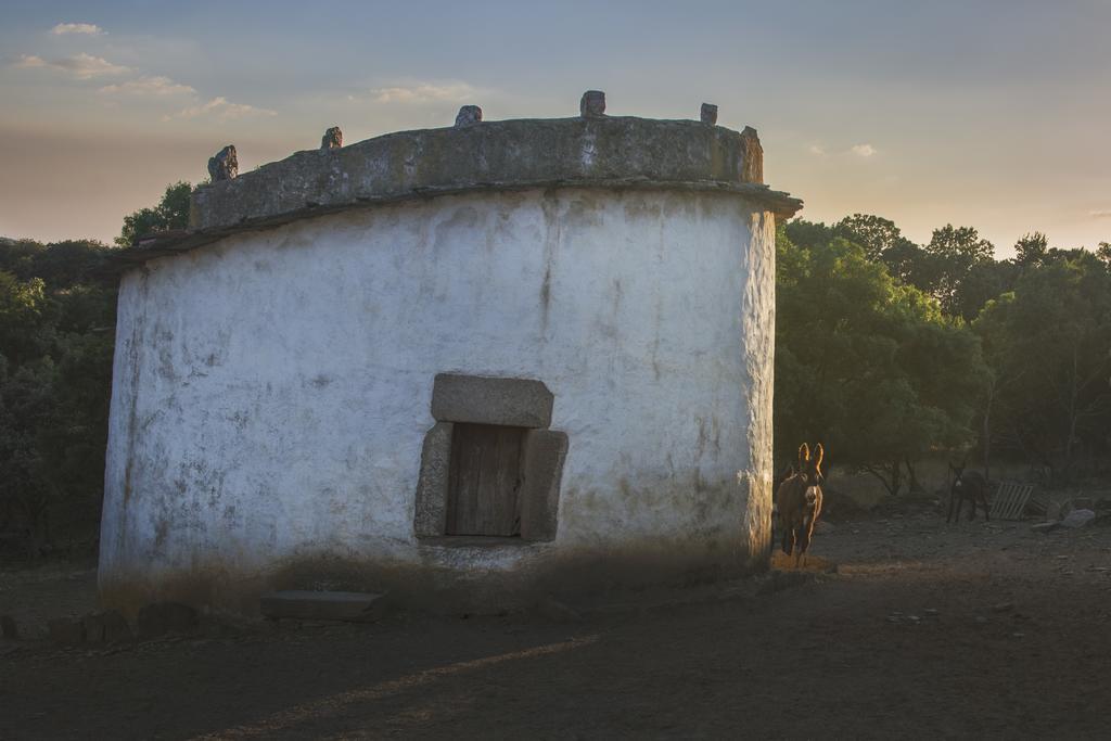 Casa Da Ti Cura Konuk evi Atenor Dış mekan fotoğraf